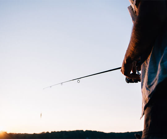 πηγαίντε για ψάρεμα! 5 τρόποι για να κρατήσετε μακριά τα έντομα ενώ ψαρεύετε