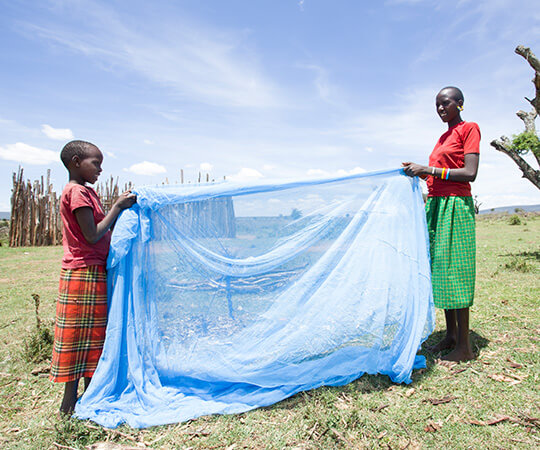 Ελονοσία: Τι πρέπει να γνωρίζετε